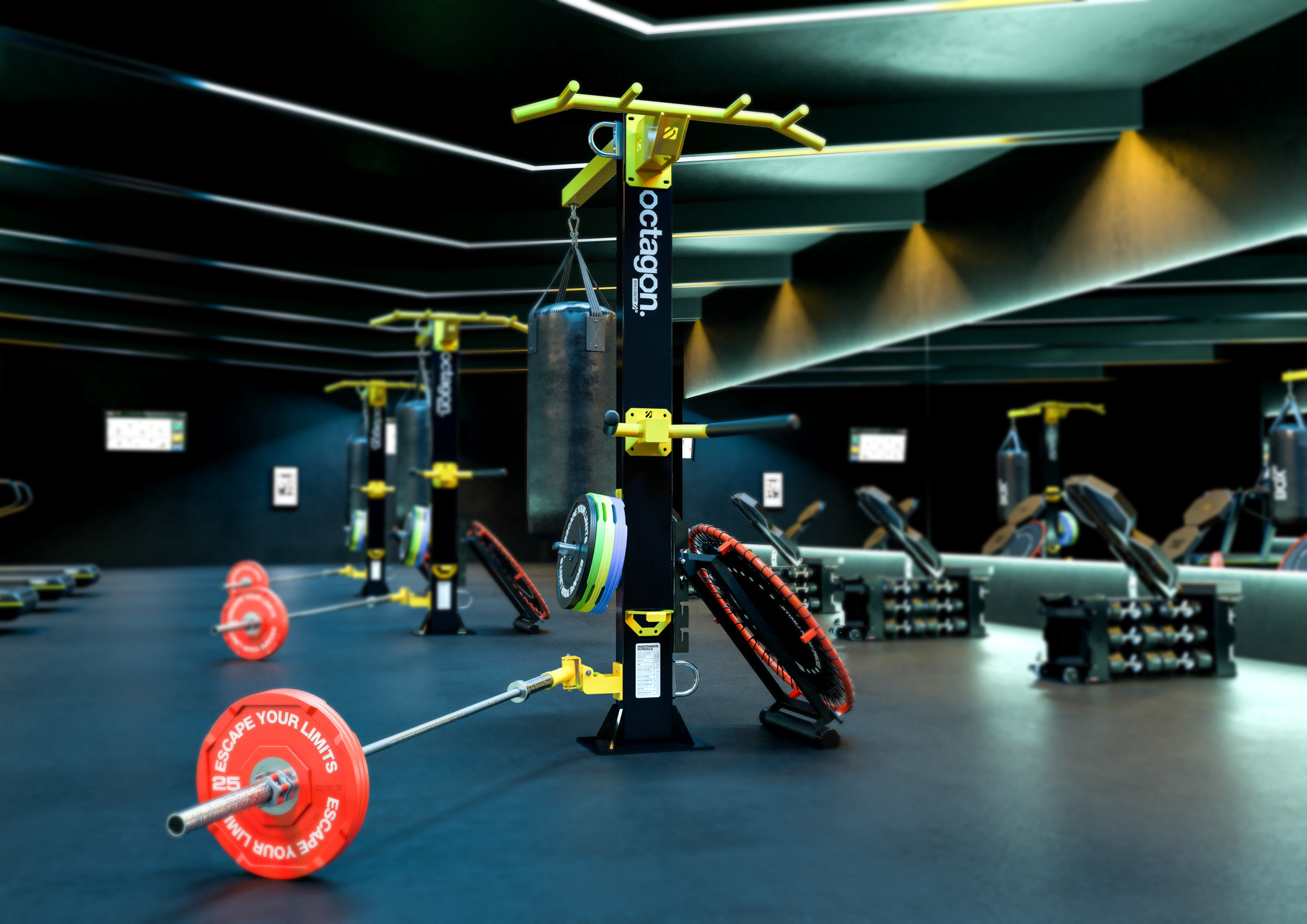 Octagon Gym Escape Fitness