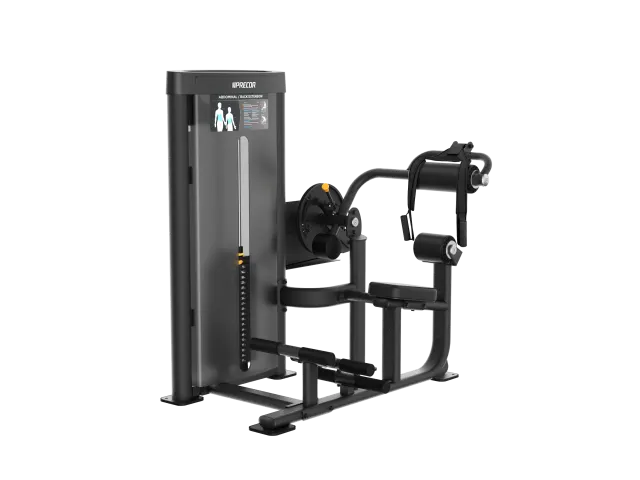 Precor Vitality Abdominal / Back Extension