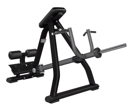 Precor Plate Loaded Incline Lever Row