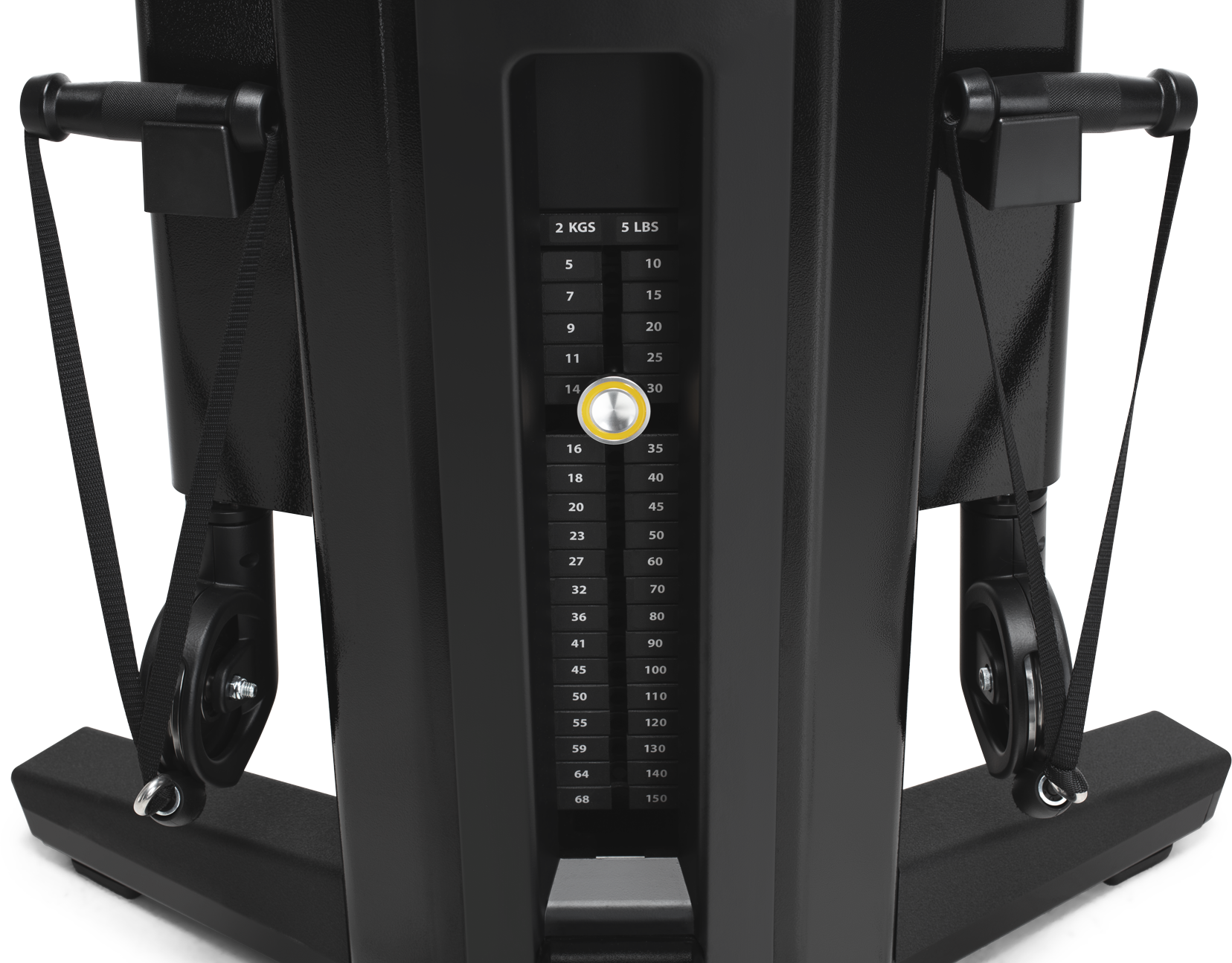 FreeMotion Genesis Biceps